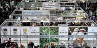 cannabis-expo
