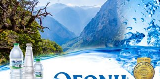 Χρυσό βραβείο ποιότητας στο νερό Θεόνη