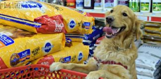 Υψηλό κέρδος από τα Pet Food στα μίνι μάρκετ