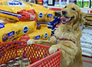 Υψηλό κέρδος από τα Pet Food στα μίνι μάρκετ