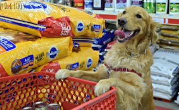 Υψηλό κέρδος από τα Pet Food στα μίνι μάρκετ