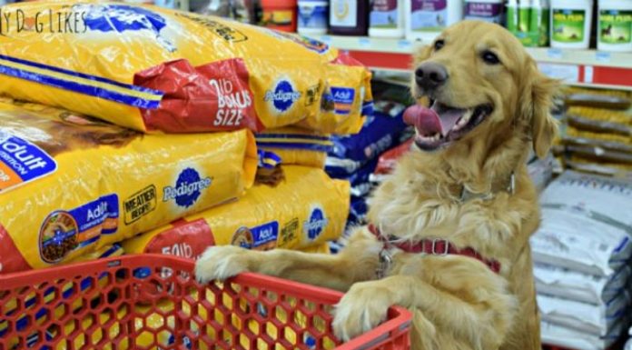 Υψηλό κέρδος από τα Pet Food στα μίνι μάρκετ