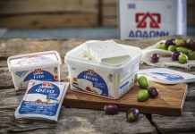Ανανεωμένο website από τη Δωδώνη
