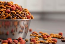 pet food