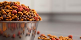 pet food