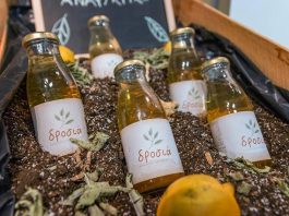 Bevartisan