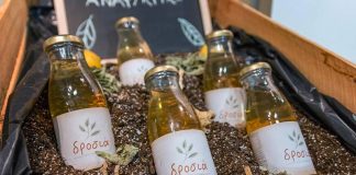 Bevartisan