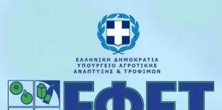 Ε.Φ.Ε.Τ: Θραύσματα γυαλιού σε ζωμό λαχανικών
