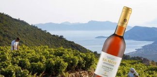 Παγκόσμιο βραβείο για το Samos Anthemis