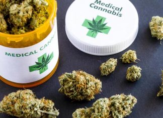 Επενδύσεις εκατ. ευρώ στη Βόρεια Ελλάδα για την κάνναβη Επενδύσεις εκατ. ευρώ στη Βόρεια Ελλάδα για την κάνναβη