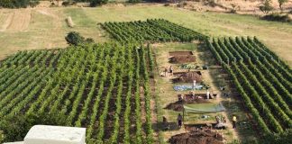 Βρέθηκε τυρί φέτα... ηλικίας 7.200 ετών