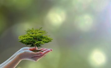 “Πράσινες” καινοτομίες για τον κλάδο των τροφίμων "Πράσινες" καινοτομίες για τον κλάδο των τροφίμων