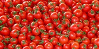 Τόνοι ακατάλληλων κηπευτικών σε επιχείρηση του Πειραιά