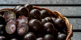 Αποξηραμένα φρούτα γεμάτα... κοκαΐνη κατασχέθηκαν από τις Αρχές
