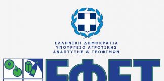 Δίκτυα παράνομου ελαιόλαδου εντόπισε ο ΕΦΕΤ