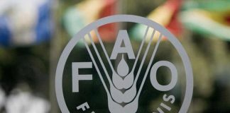 "Ραγδαία" αύξηση στις τιμές των τροφίμων