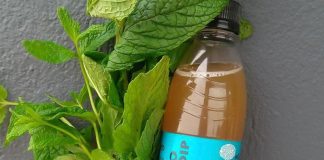 Mojito κεφίρ από την εταιρεία Υγιεία