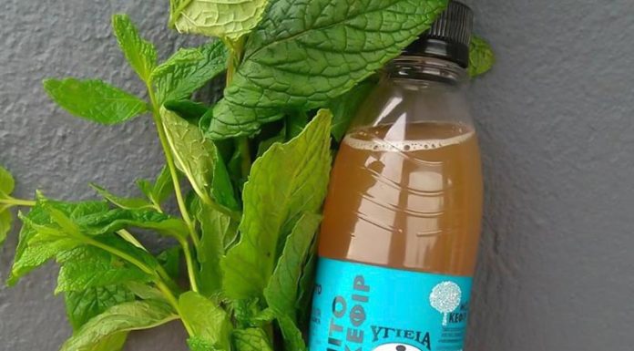 Mojito κεφίρ από την εταιρεία Υγιεία