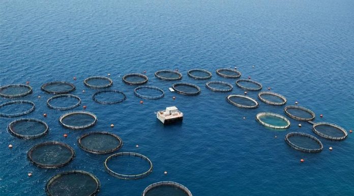 Εθνική υπόθεση ανάπτυξης η ελληνική ιχθυοκαλλιέργεια
