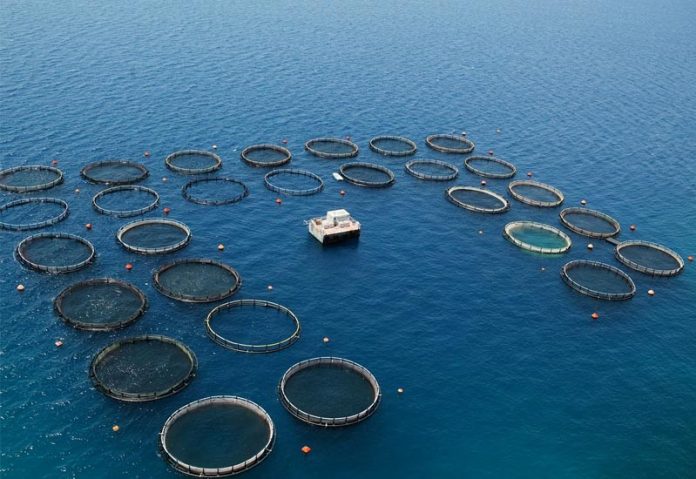 Εθνική υπόθεση ανάπτυξης η ελληνική ιχθυοκαλλιέργεια