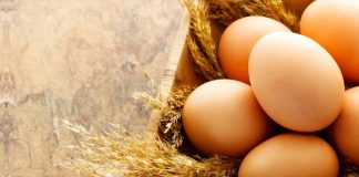 Τα Χρυσά Αυγά στη Food Expo