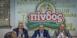 Επενδύσεις 20 εκατ. ευρώ δρομολογεί ο ΑΠΣΙ ΠΙΝΔΟΣ
