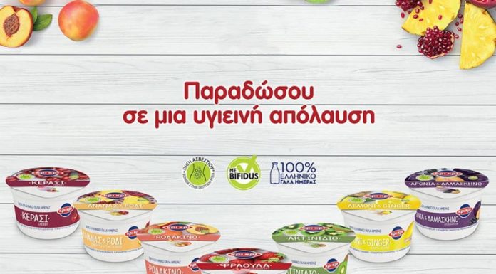 Ανανεωμένα επιδόρπια γιαουρτιού Κρι Κρι με φρούτα