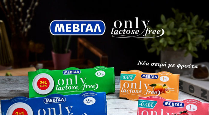 Γιαούρτια Only χωρίς λακτόζη σε νέες γεύσεις