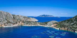 Νέο deal για τη μεσογειακή ιχθυοκαλλιέργεια