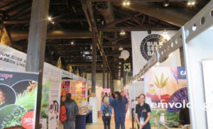Salonica Cannabis Expo