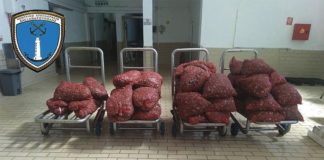 Επικίνδυνα όστρακα κατασχέθηκαν στην Αλεξανδρούπολη