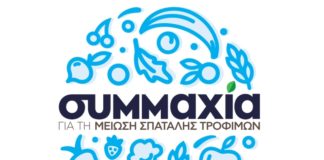 Συμμαχία, ΜΠΑΡΜΠΑ ΣΤΑΘΗΣ