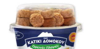 Κατίκι