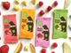 Fruit Rolls Bear Fruit Rolls Bear
