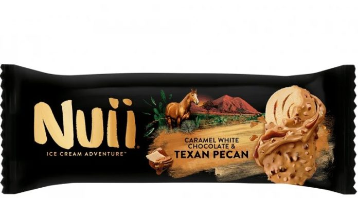 Παγωτό Nuii Caramel White Chocolate & Texan Pecan