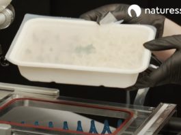 Naturesse: Παρουσίασε την πρώτη βιοδιασπώμενη συσκευασία τροφίμων MAP