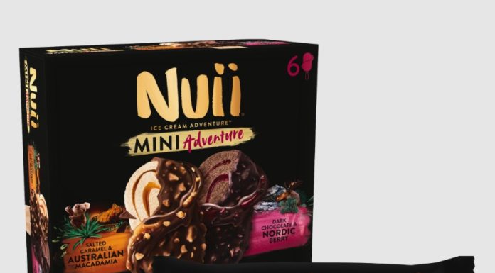 Παγωτό Nuii Dark Chocolate & Nordic Berry