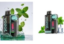 VOZOL Vista Plug – Νέες Γεύσεις Fresh Mint & Miami Mint