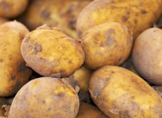 Εντατικοί Έλεγχοι στην Αγορά Τροφίμων: Πρόστιμα 62.000 ευρώ