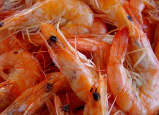 Επικίνδυνα τρόφιμα: Κατασχέθηκαν 5,6 τόνοι από την Περιφέρεια Αττικής