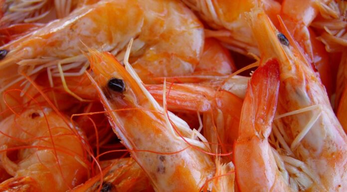 Επικίνδυνα τρόφιμα: Κατασχέθηκαν 5,6 τόνοι από την Περιφέρεια Αττικής