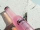Λουξ Pink Grapefruit