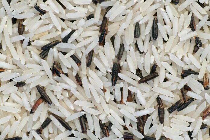 pictavio-rice-5236375_1280
