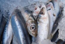 Κατασχέθηκαν εκατοντάδες κιλά αλιευμάτων