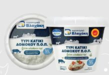 Κατίκι Δομοκού Π.Ο.Π. από την Τυροκομικά Βλαχάκη