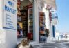 Άγριος καβγάς έξω από μίνι μάρκετ – Όλα ξεκίνησαν όταν τουρίστας κλώτσησε γάτα