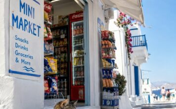 Άγριος καβγάς έξω από μίνι μάρκετ – Όλα ξεκίνησαν όταν τουρίστας κλώτσησε γάτα